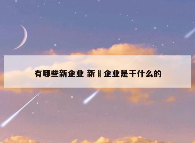 有哪些新企业 新沄企业是干什么的