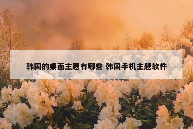 韩国的桌面主题有哪些 韩国手机主题软件