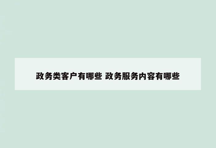 政务类客户有哪些 政务服务内容有哪些
