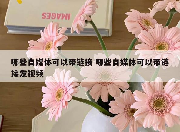 哪些自媒体可以带链接 哪些自媒体可以带链接发视频