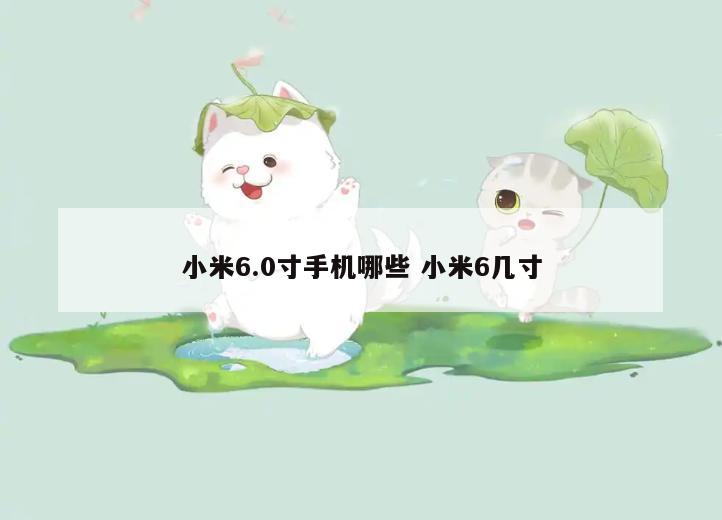 小米6.0寸手机哪些 小米6几寸