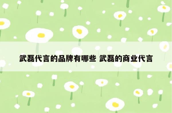 武磊代言的品牌有哪些 武磊的商业代言