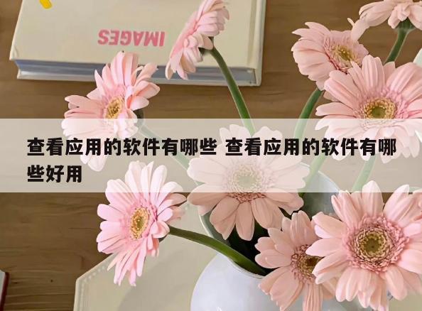 查看应用的软件有哪些 查看应用的软件有哪些好用