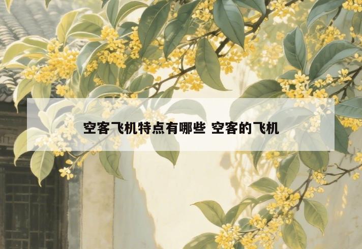 空客飞机特点有哪些 空客的飞机