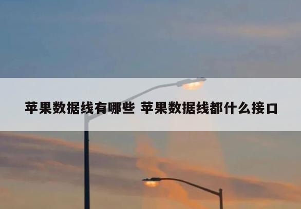 苹果数据线有哪些 苹果数据线都什么接口