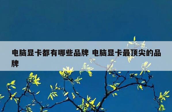 电脑显卡都有哪些品牌 电脑显卡最顶尖的品牌