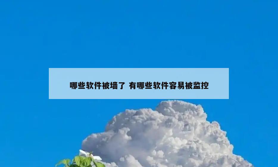 哪些软件被墙了 有哪些软件容易被监控