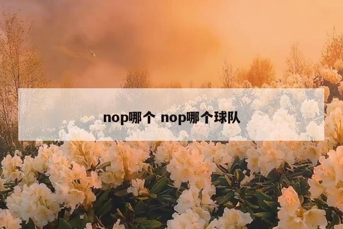 nop哪个 nop哪个球队
