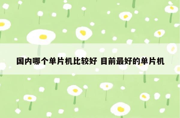 国内哪个单片机比较好 目前最好的单片机