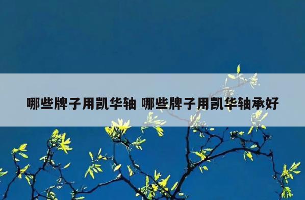 哪些牌子用凯华轴 哪些牌子用凯华轴承好