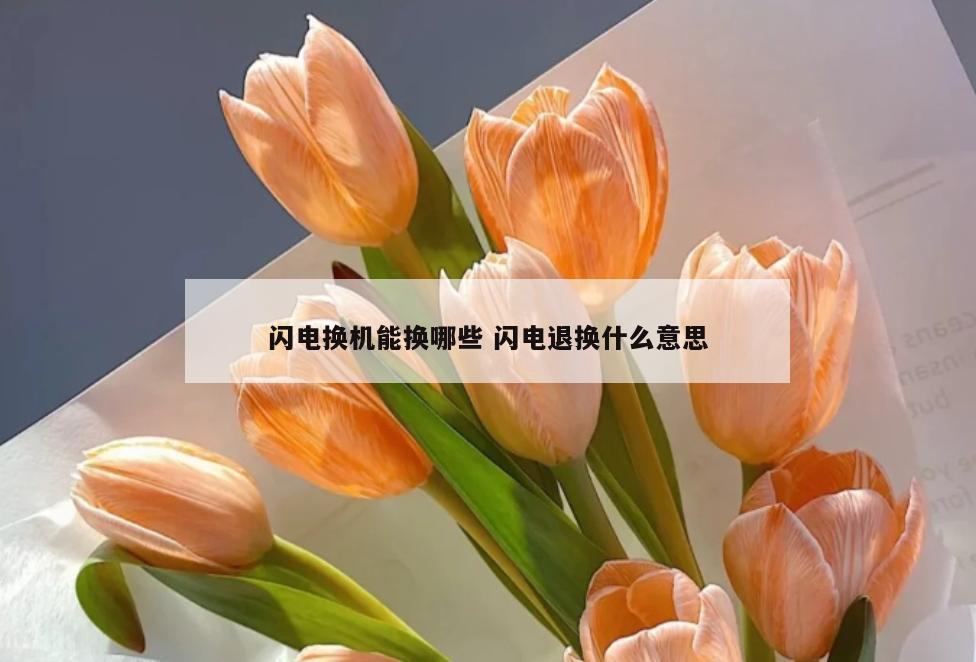 闪电换机能换哪些 闪电退换什么意思