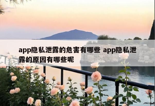 app隐私泄露的危害有哪些 app隐私泄露的原因有哪些呢