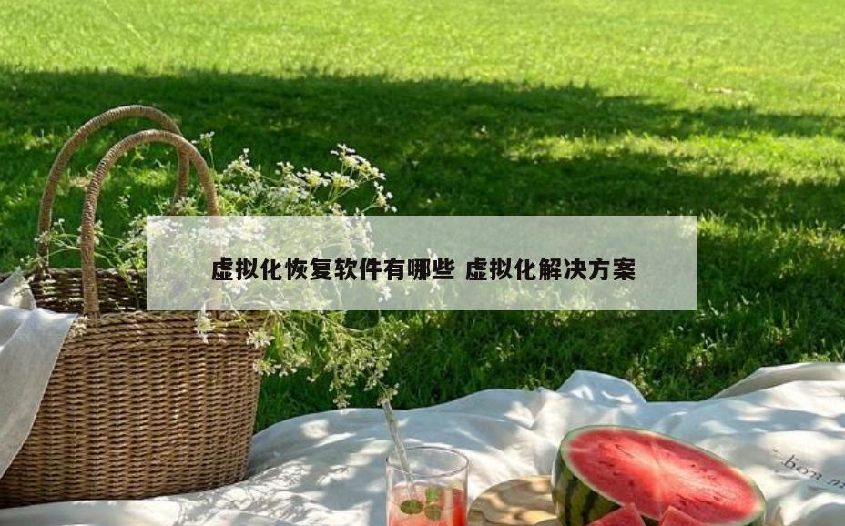虚拟化恢复软件有哪些 虚拟化解决方案