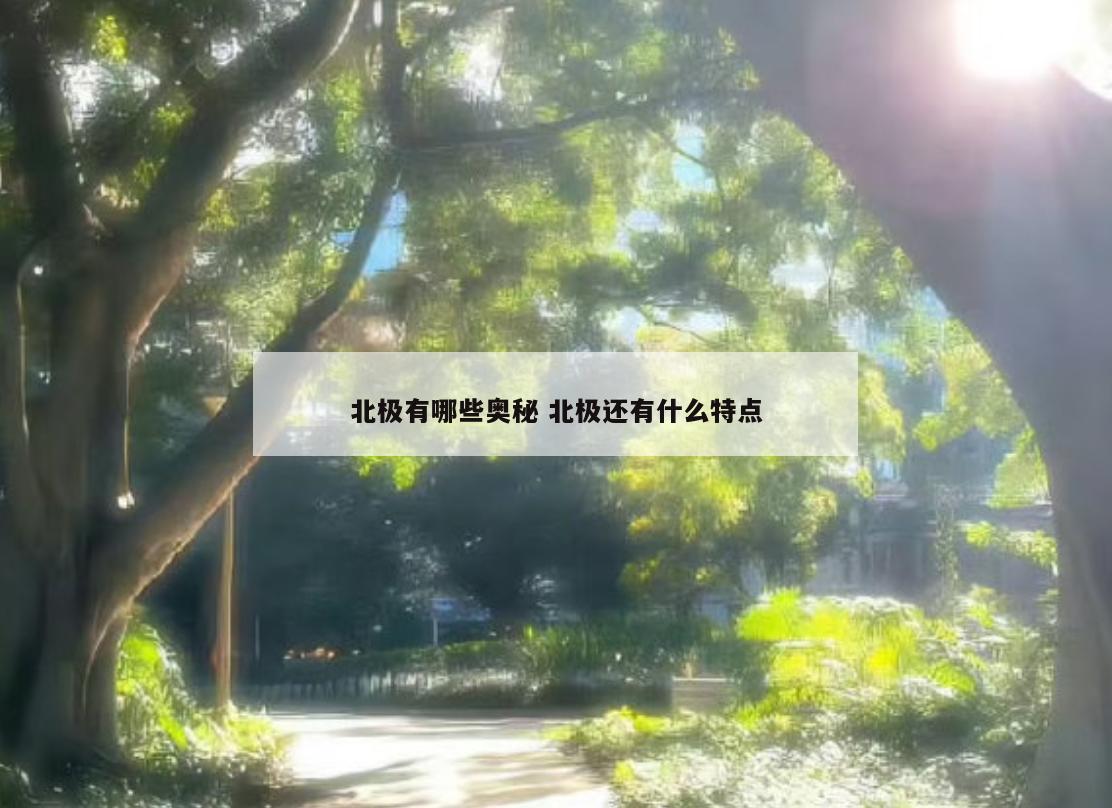 北极有哪些奥秘 北极还有什么特点