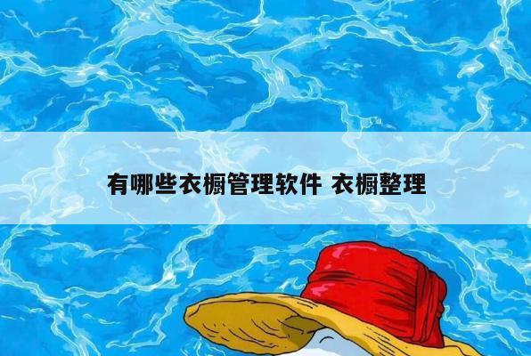 有哪些衣橱管理软件 衣橱整理