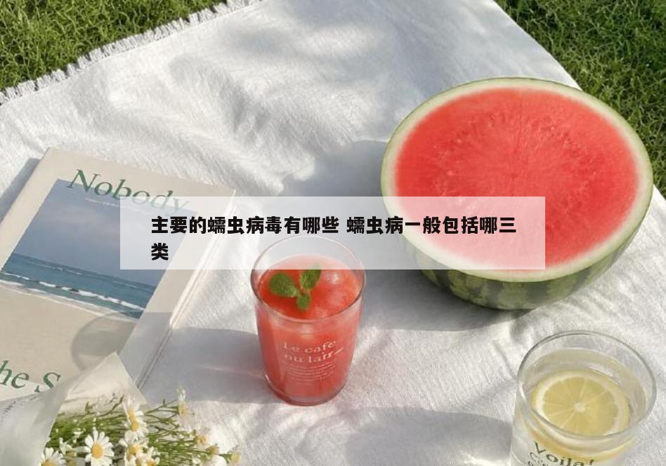 主要的蠕虫病毒有哪些 蠕虫病一般包括哪三类