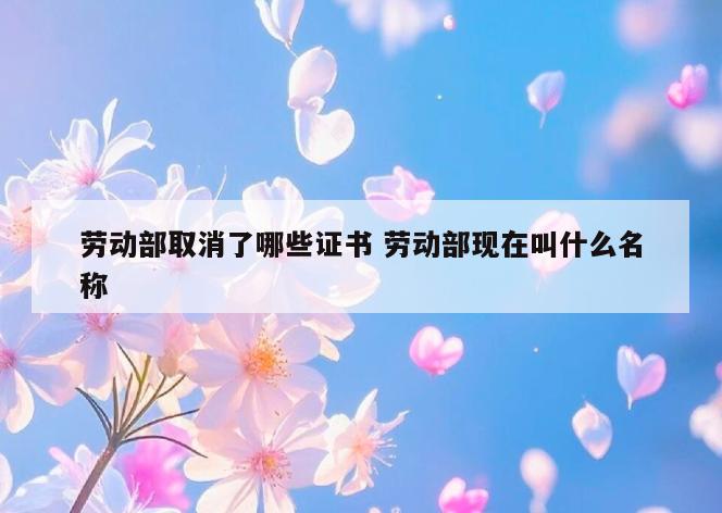 劳动部取消了哪些证书 劳动部现在叫什么名称