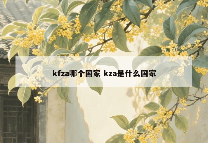 kfza哪个国家 kza是什么国家