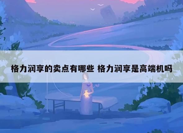 格力润享的卖点有哪些 格力润享是高端机吗