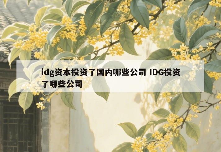 idg资本投资了国内哪些公司 IDG投资了哪些公司