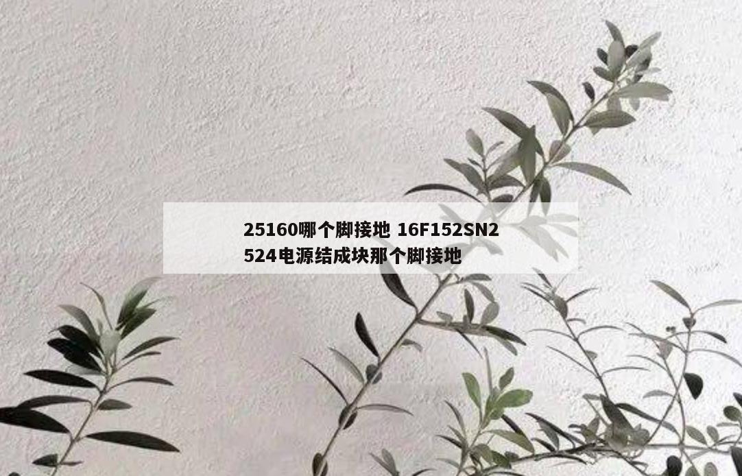 25160哪个脚接地 16F152SN2524电源结成块那个脚接地
