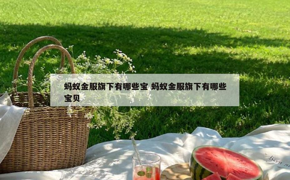 蚂蚁金服旗下有哪些宝 蚂蚁金服旗下有哪些宝贝