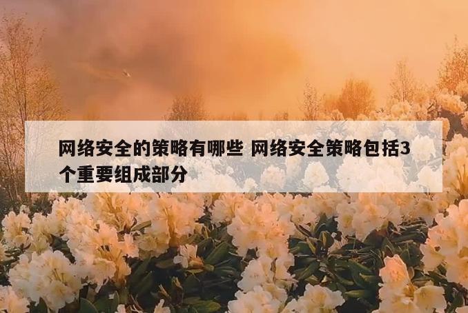 网络安全的策略有哪些 网络安全策略包括3个重要组成部分