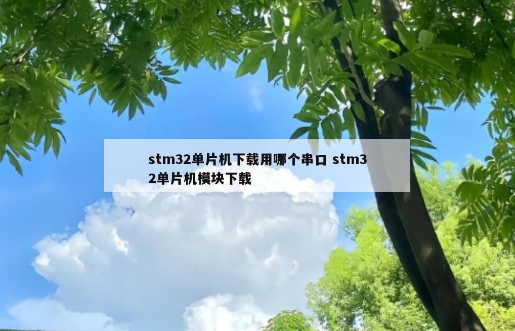 stm32单片机下载用哪个串口 stm32单片机模块下载
