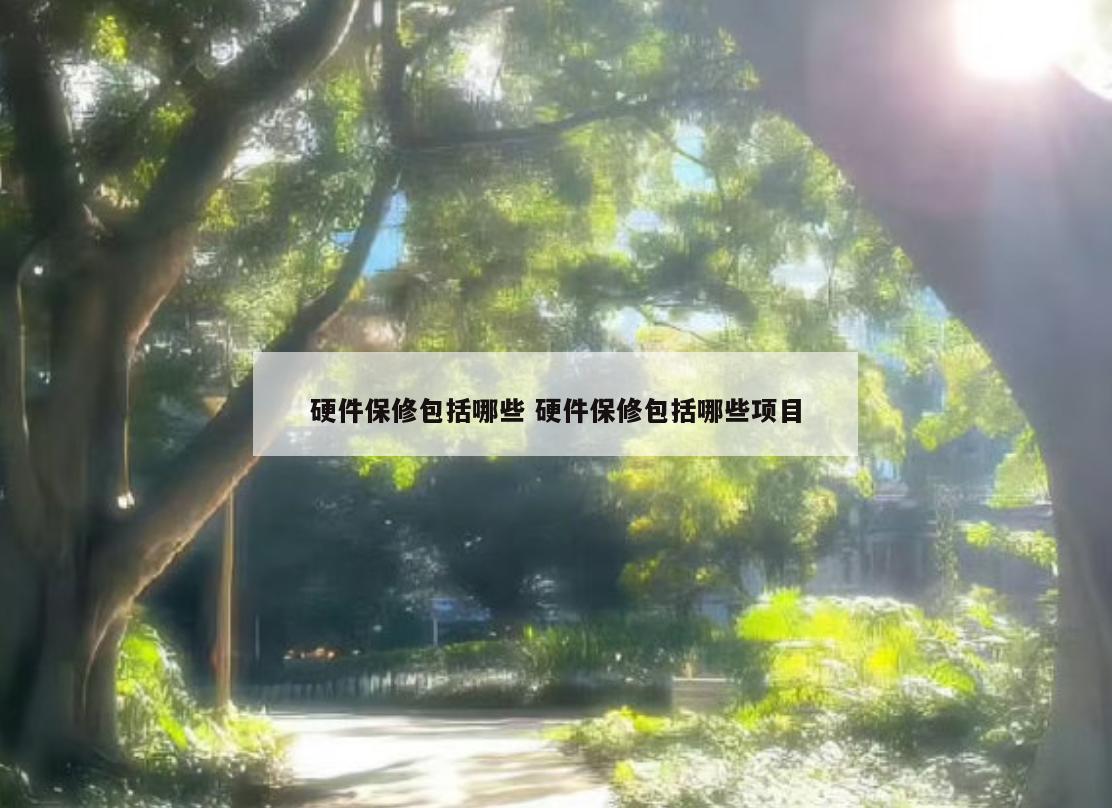 硬件保修包括哪些 硬件保修包括哪些项目