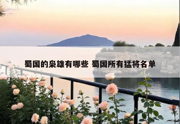 蜀国的枭雄有哪些 蜀国所有猛将名单