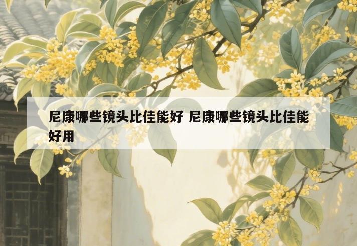 尼康哪些镜头比佳能好 尼康哪些镜头比佳能好用