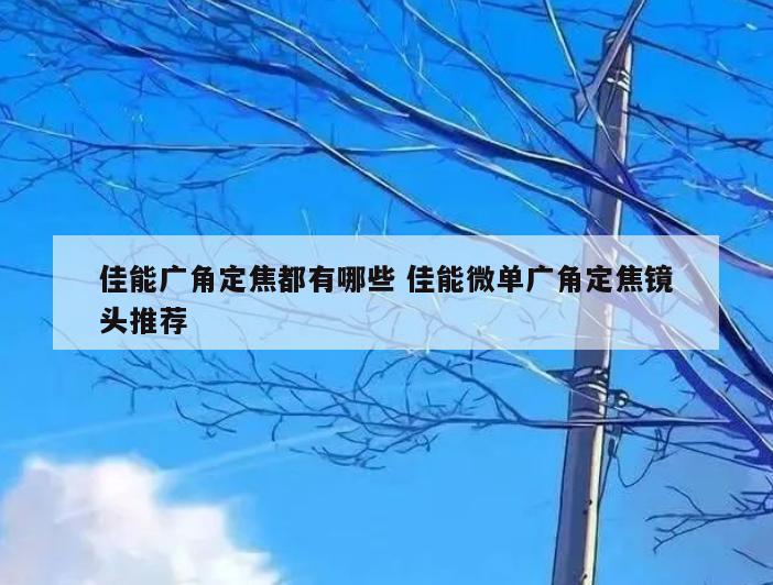 佳能广角定焦都有哪些 佳能微单广角定焦镜头推荐