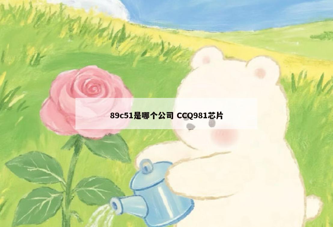 89c51是哪个公司 CCQ981芯片