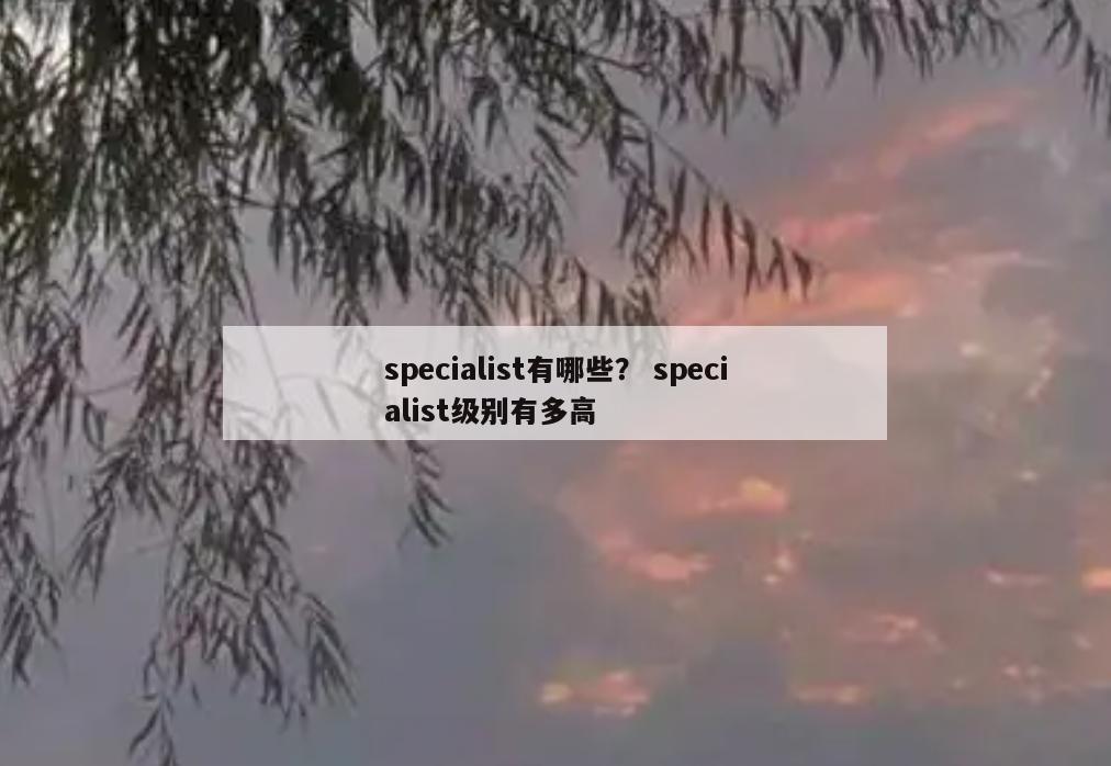 specialist有哪些？ specialist级别有多高