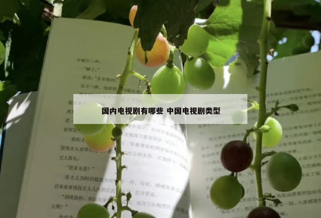 国内电视剧有哪些 中国电视剧类型