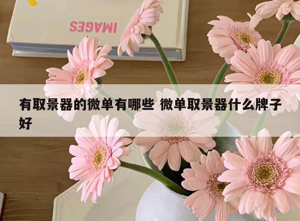 有取景器的微单有哪些 微单取景器什么牌子好