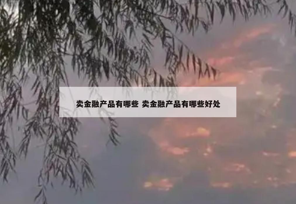 卖金融产品有哪些 卖金融产品有哪些好处