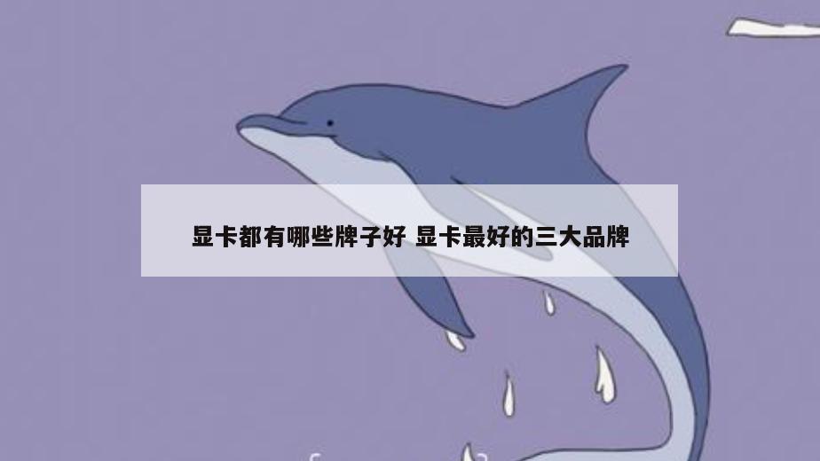 显卡都有哪些牌子好 显卡最好的三大品牌