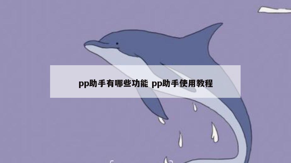 pp助手有哪些功能 pp助手使用教程